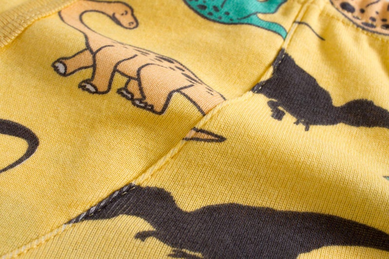 Boboking Little Boys Briefs Dinosaur Truck Toddler Kids Underwear 5Yrs - Image 5